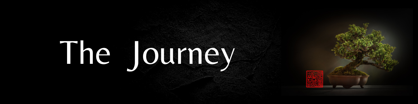 Blog: The Journey